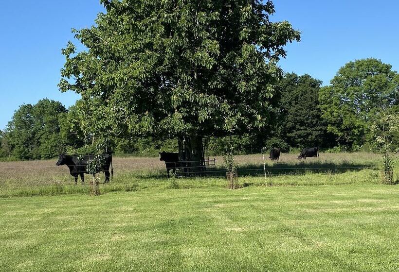 فندق Dawn Chorus Holidays
