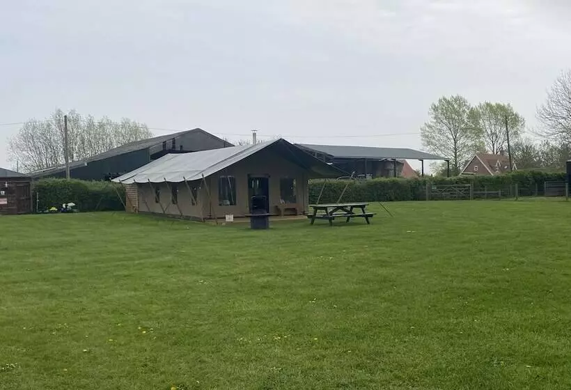 Отель Dawn Chorus Holidays