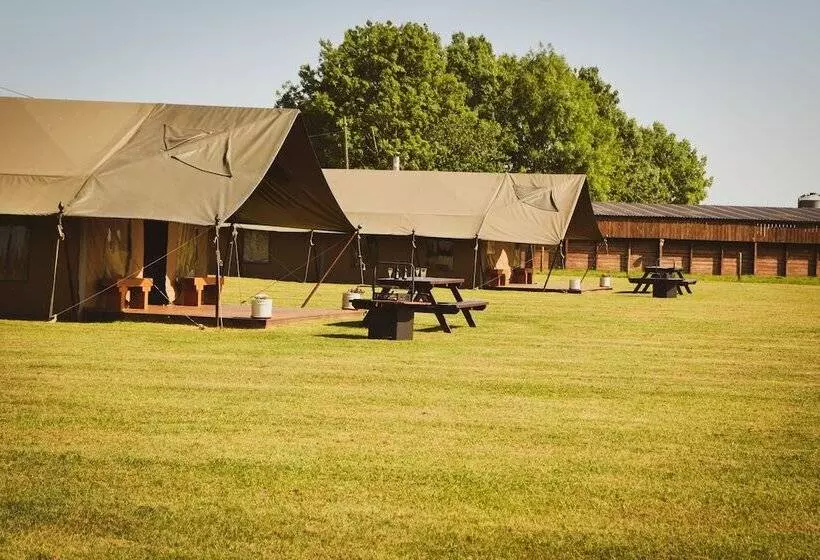 Отель Dawn Chorus Holidays