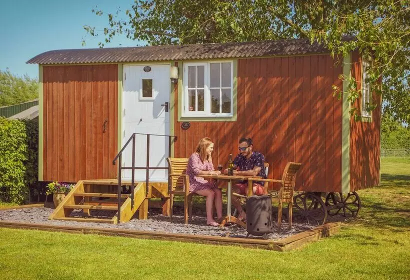 Отель Dawn Chorus Holidays