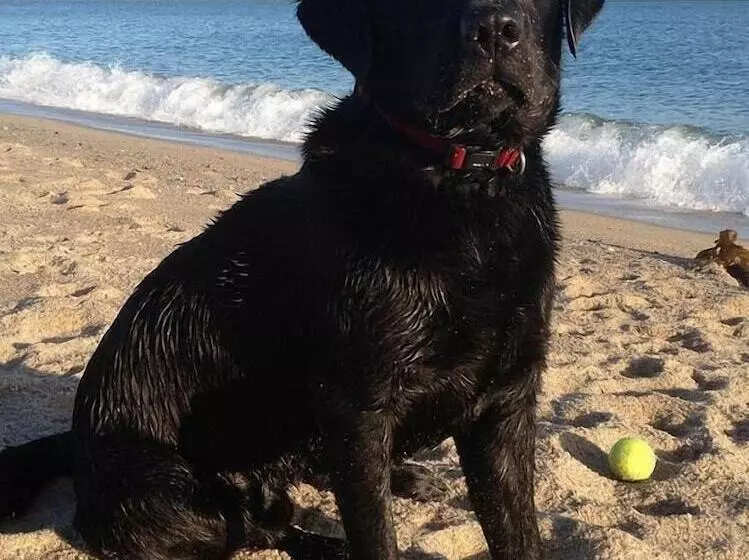 Hotel The Waterwheel