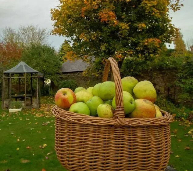 Lea House Bed And Breakfast