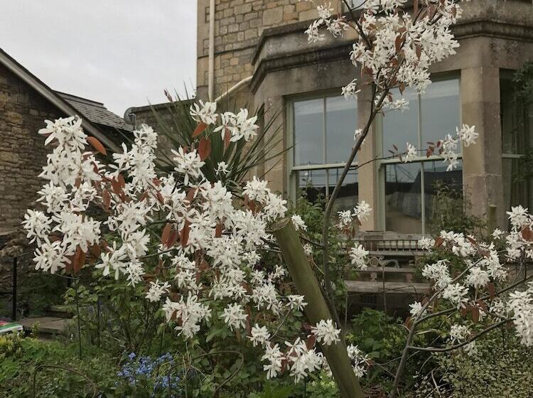 פנסיון Turks Hall