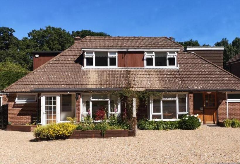 Abacus Bed And Breakfast, Blackwater, Hampshire