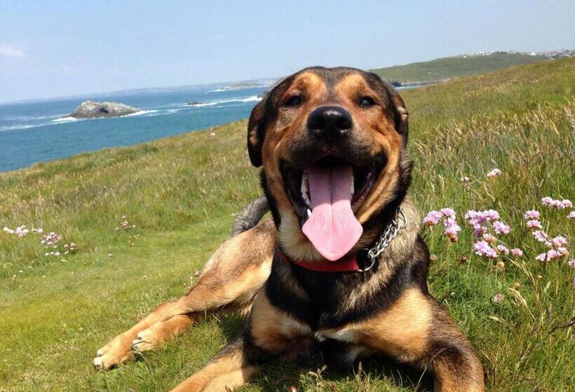 הוסטל Breakers Guest House