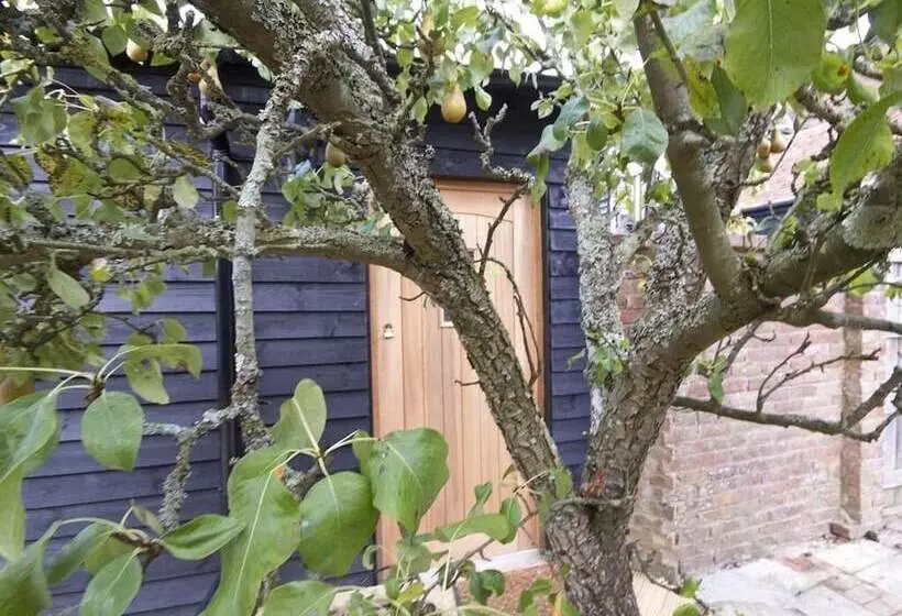 Nocleg ze śniadaniem Magpies Lodge