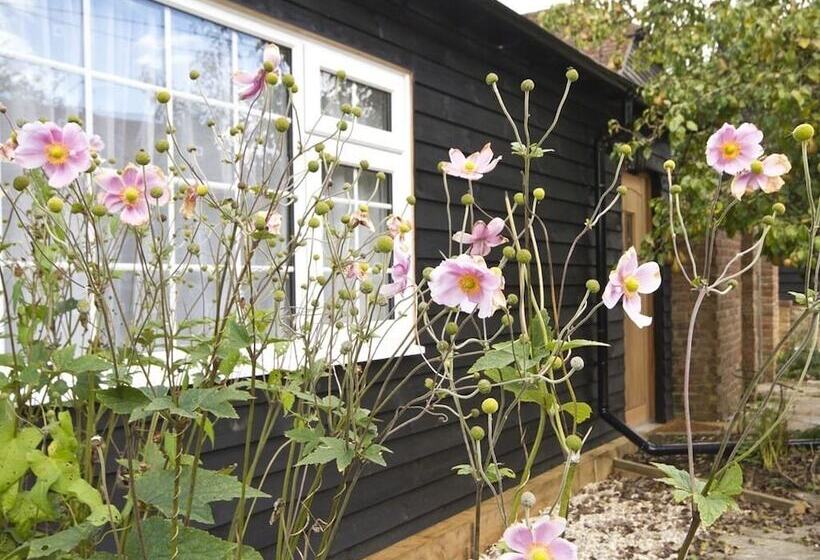 مبيت وإفطار Magpies Lodge