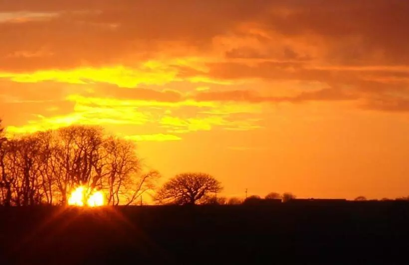 ベッドアンドブレックファースト The Paddock