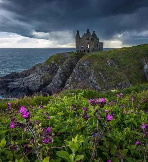 Bed and Breakfast Thornbank House