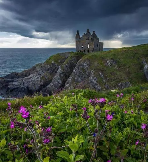 تختخواب و صبحانه Thornbank House