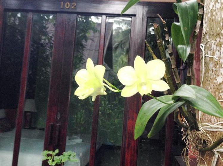 Hotel Ao Nang Beach Home