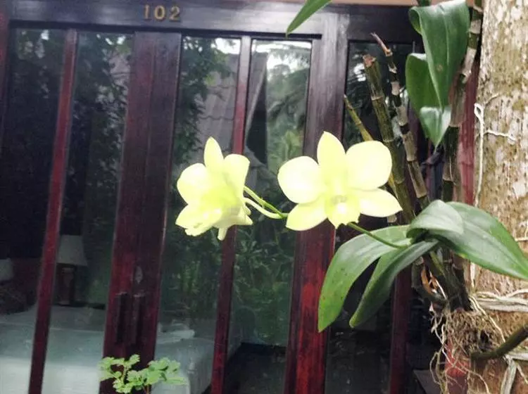 Hotel Ao Nang Beach Home