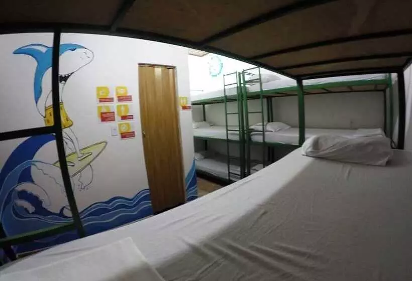 هتل Beach House Ilha Grande   Hostel