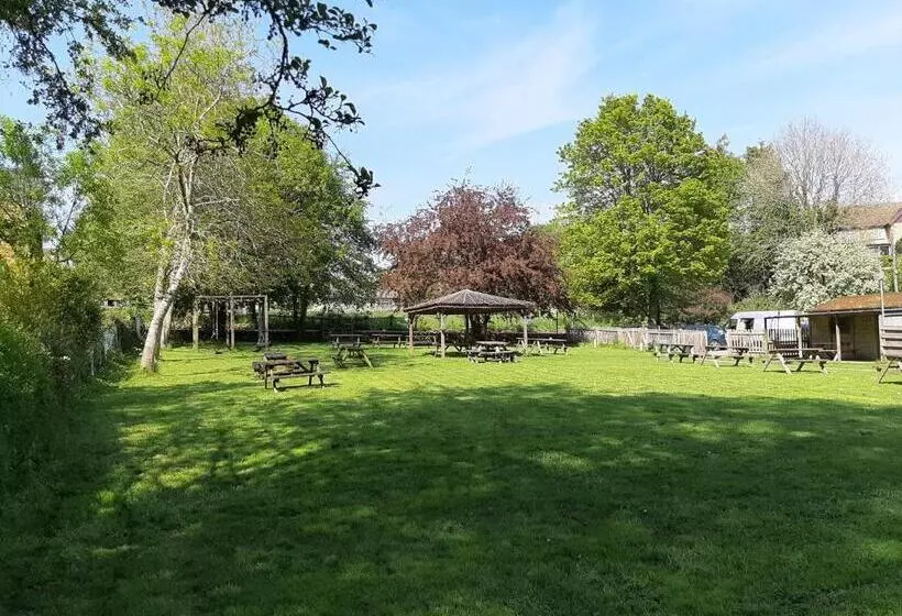 فندق The Pear Tree