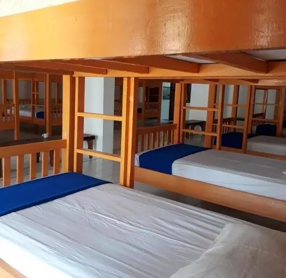 Oseania Hostel