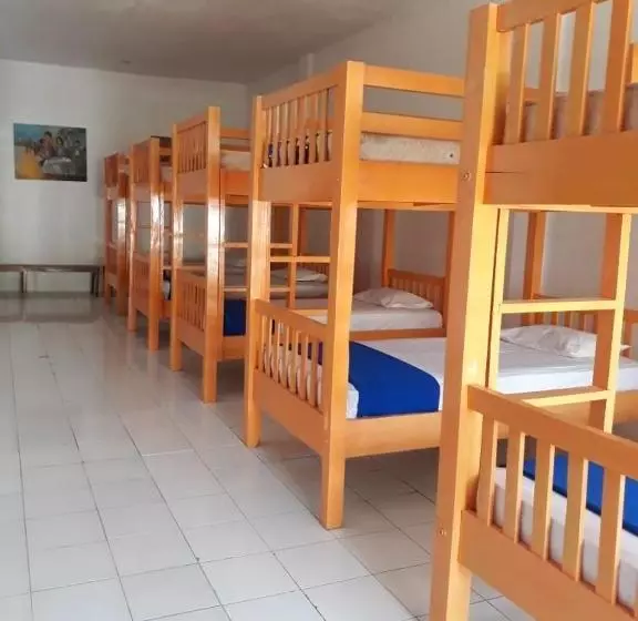 Oseania Hostel