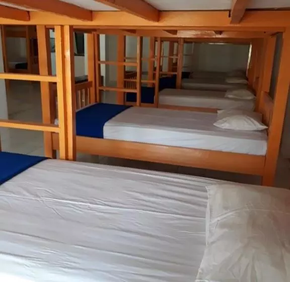 Oseania Hostel