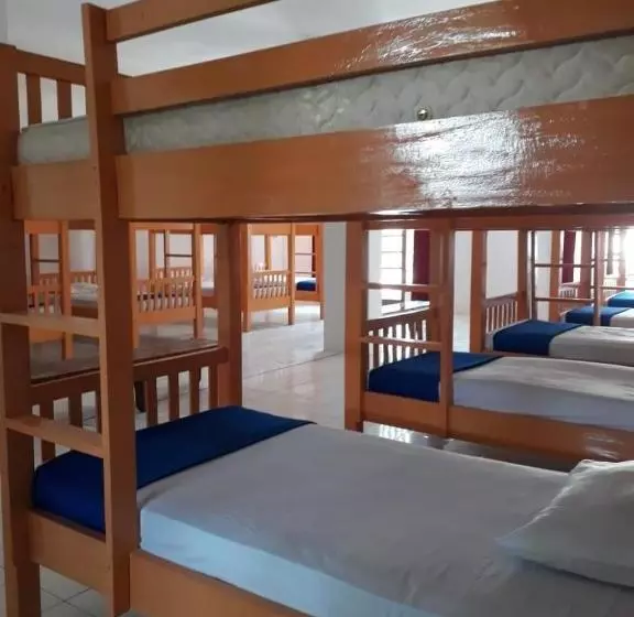 Oseania Hostel