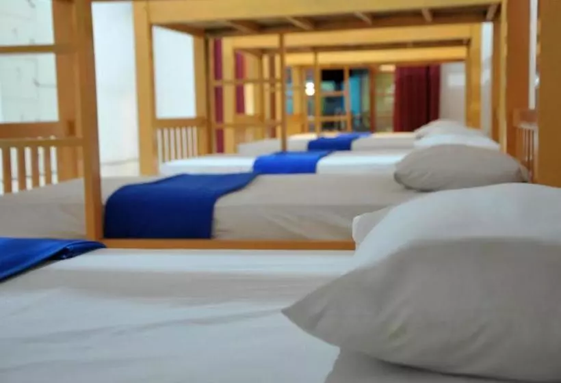 Oseania Hostel