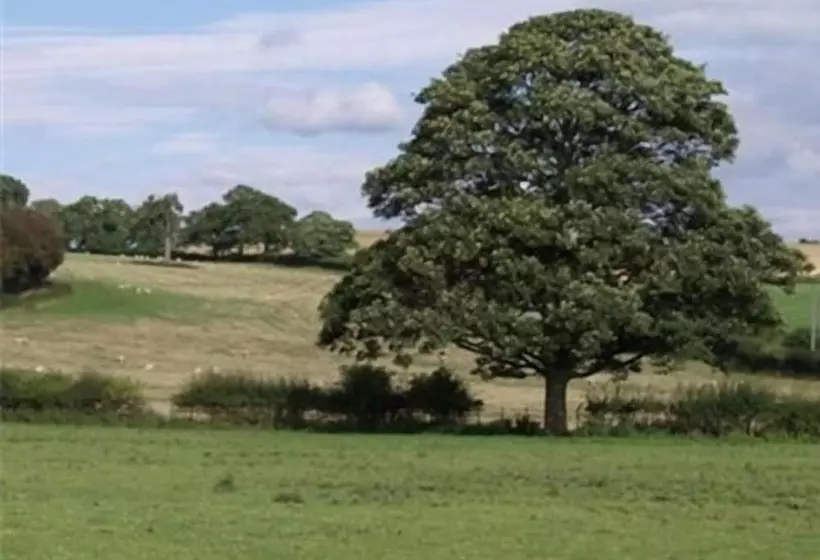 Quixhill  Denstone  Dove Meadow B & B