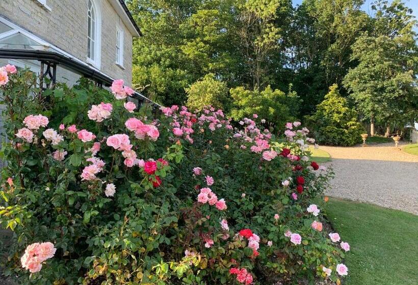 Bed and Breakfast Cary Fitzpaine House