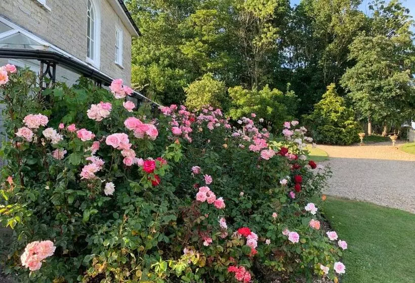 ベッドアンドブレックファースト Cary Fitzpaine House