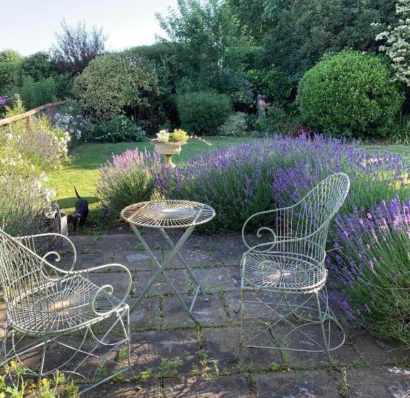 Bed and Breakfast Cary Fitzpaine House