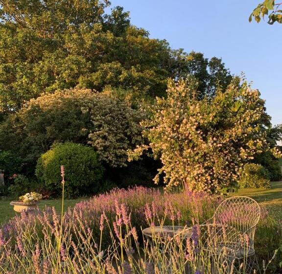 Bed and Breakfast Cary Fitzpaine House