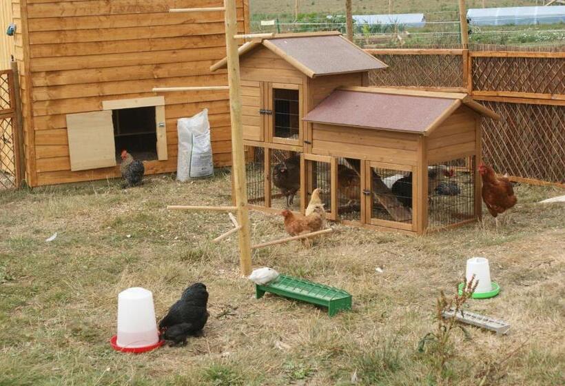 Bed and Breakfast Cary Fitzpaine House