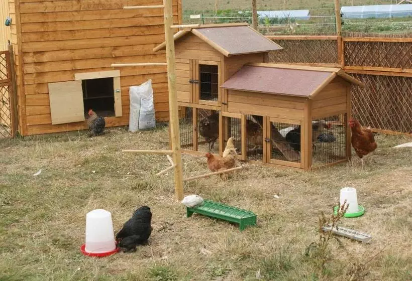 ベッドアンドブレックファースト Cary Fitzpaine House