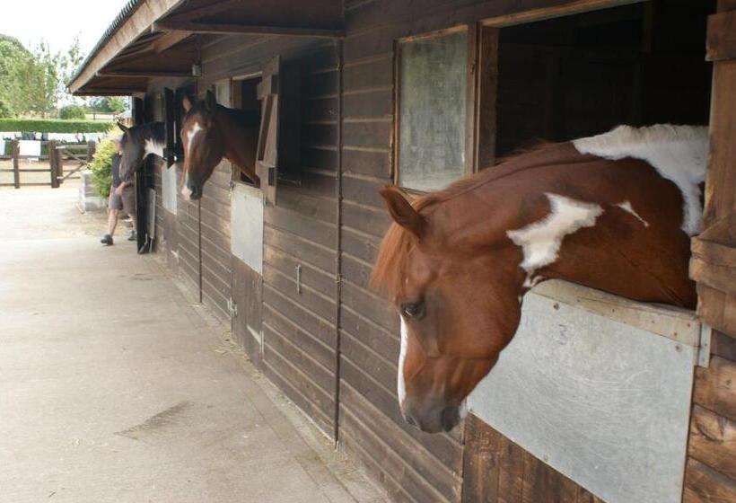 Bed and Breakfast Cary Fitzpaine House