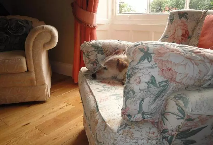 ベッドアンドブレックファースト Cary Fitzpaine House