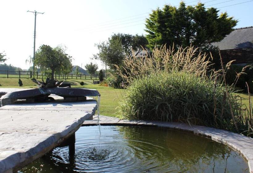 Bed and Breakfast Cary Fitzpaine House