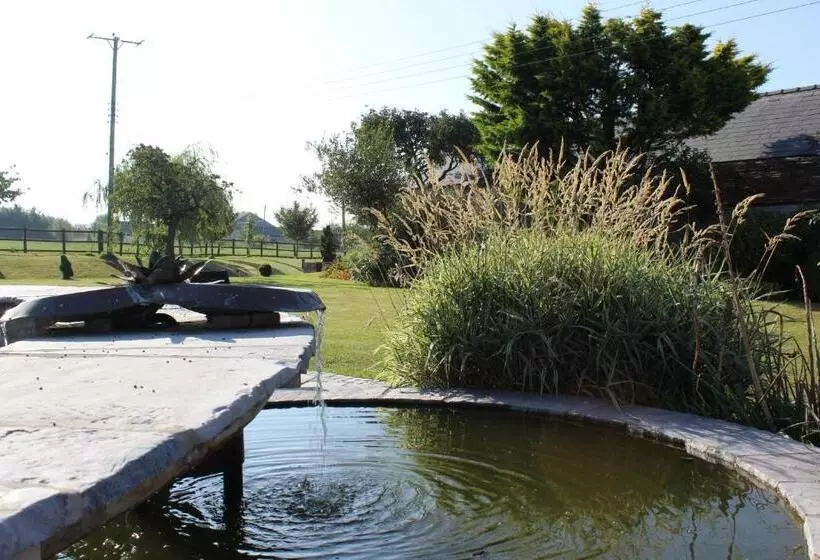 ベッドアンドブレックファースト Cary Fitzpaine House