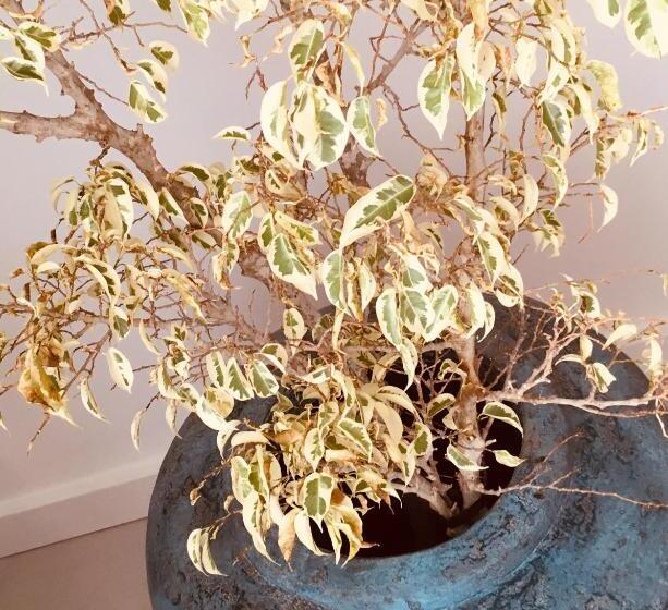 هتل Aqua Boutique