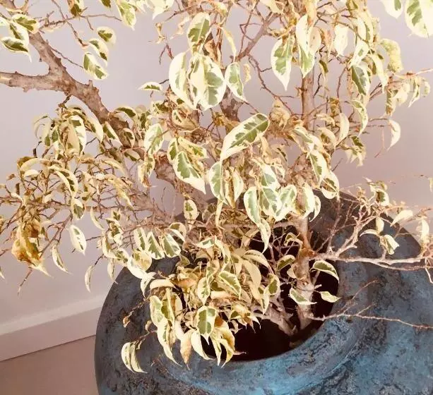 هتل Aqua Boutique