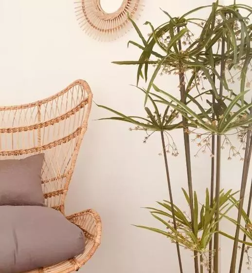 هتل Aqua Boutique