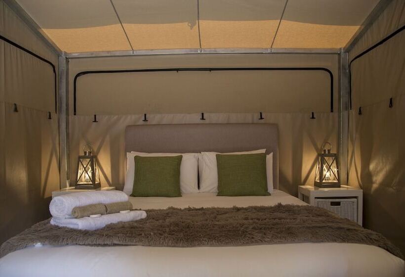 酒店 Coalmine Beach Holiday Park