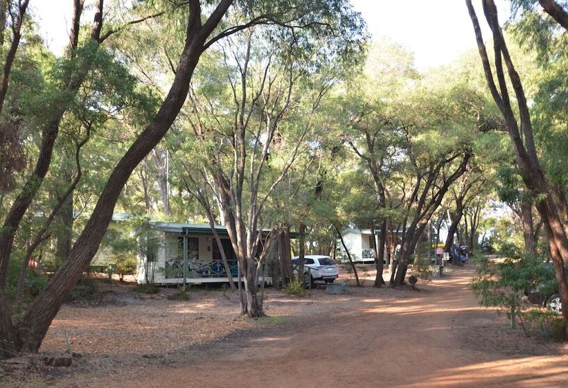 酒店 Coalmine Beach Holiday Park