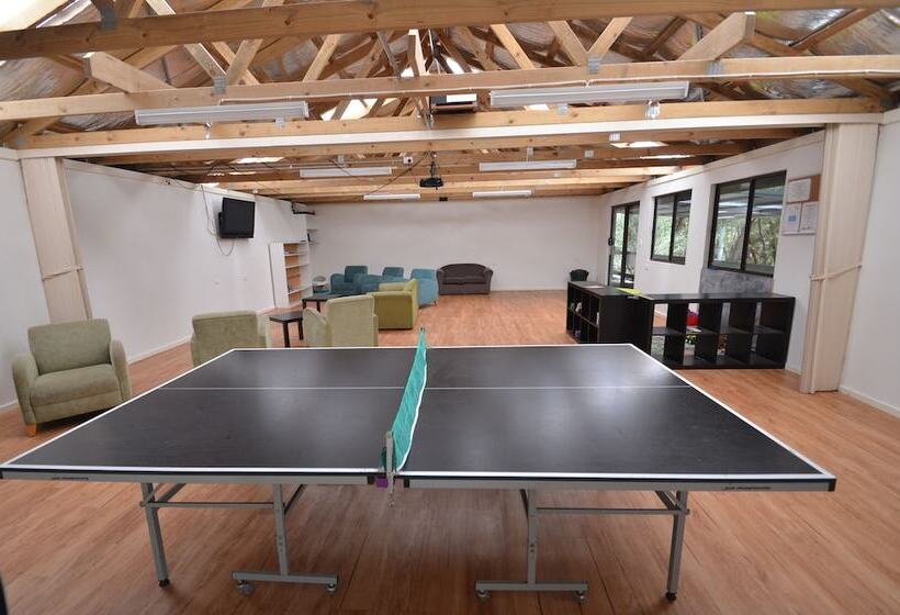 酒店 Coalmine Beach Holiday Park