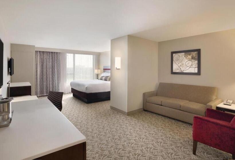 בית מלון כפרי Holiday Inn Chicago Schaumburg, An Ihg