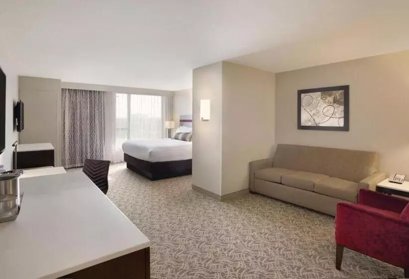 酒店 Holiday Inn Chicago Schaumburg, An Ihg