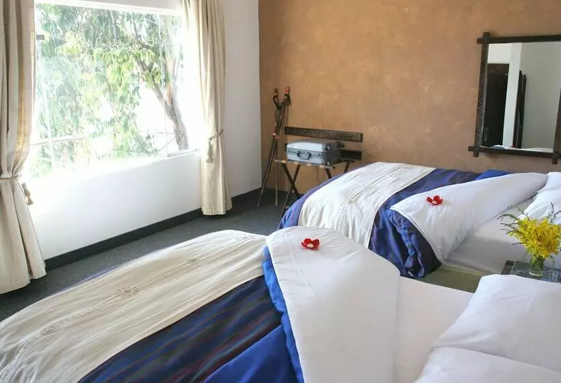 Отель Isla Suasi