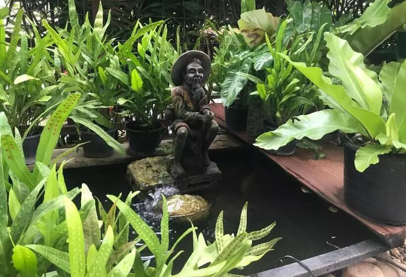 فندق Jim Guesthouse