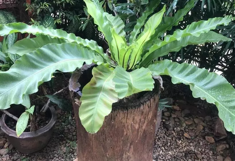 فندق Jim Guesthouse