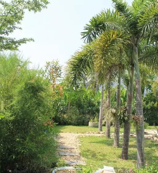 فندق Jim Guesthouse