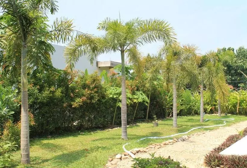 فندق Jim Guesthouse