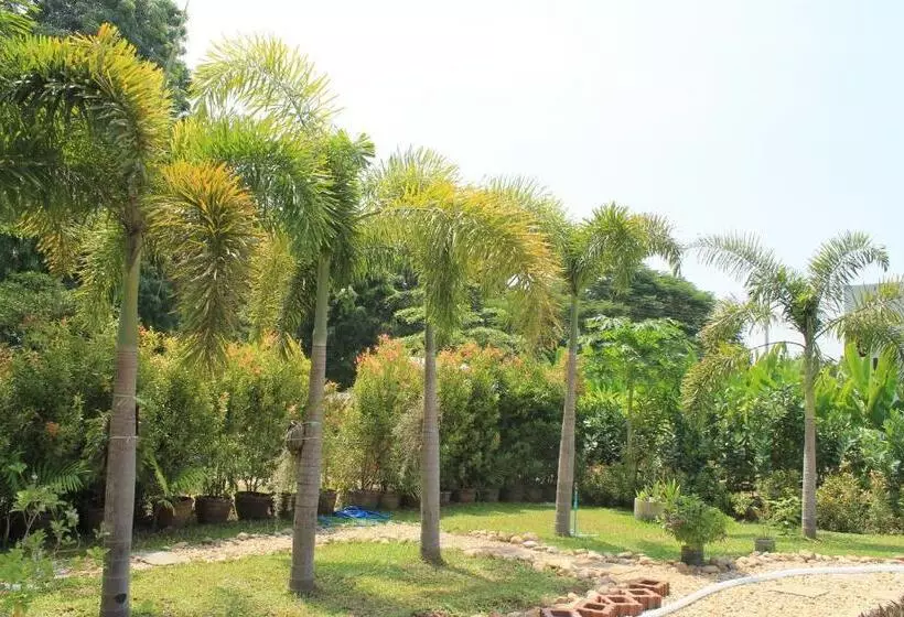 فندق Jim Guesthouse