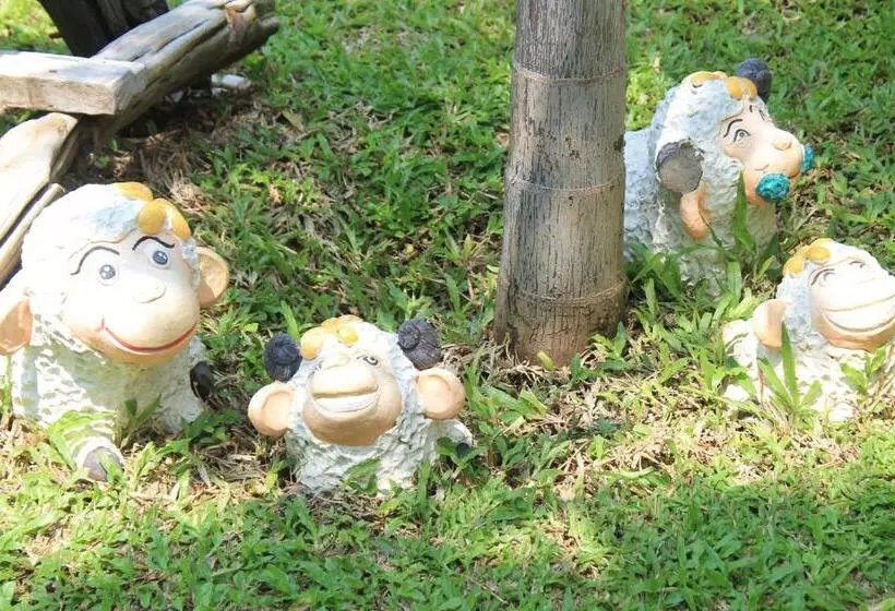 فندق Jim Guesthouse