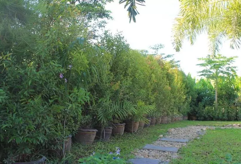 فندق Jim Guesthouse